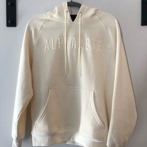 ALPHALETE MEN’S PERFORMANCE HOODIE